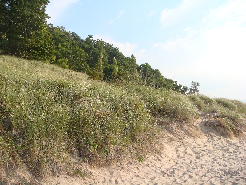 Western Michigan [2009] 572.JPG - Scenes from Van Buren State Park in Michigan.